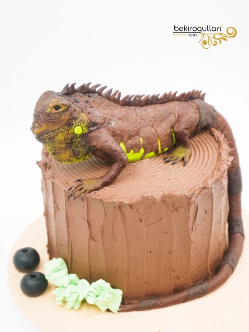 İguana Tasarım Butik Pasta