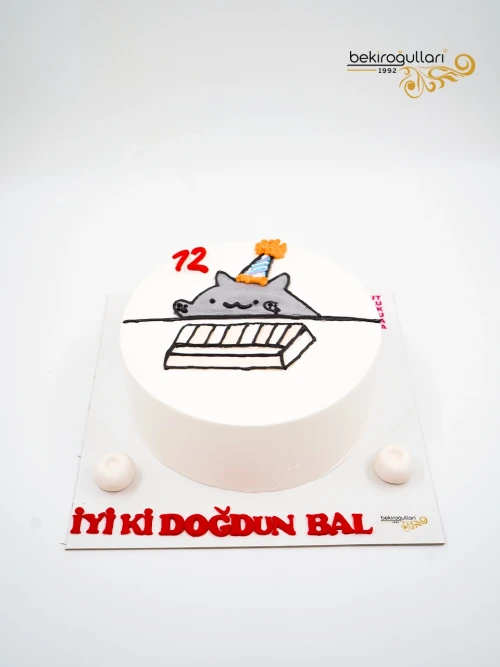 Kedi Çizim Naked Mehmet