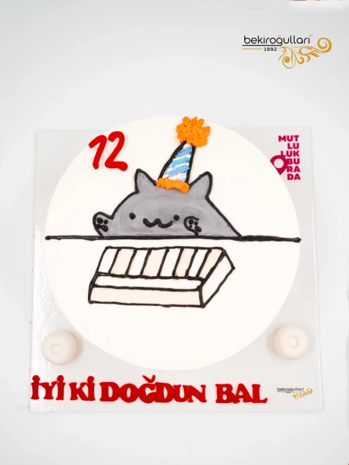 Kedi Çizim Naked Mehmet