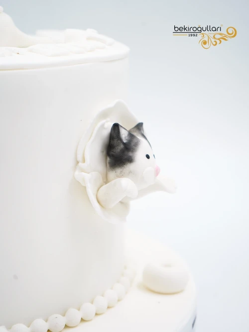 Kedi Detay Butik Pasta