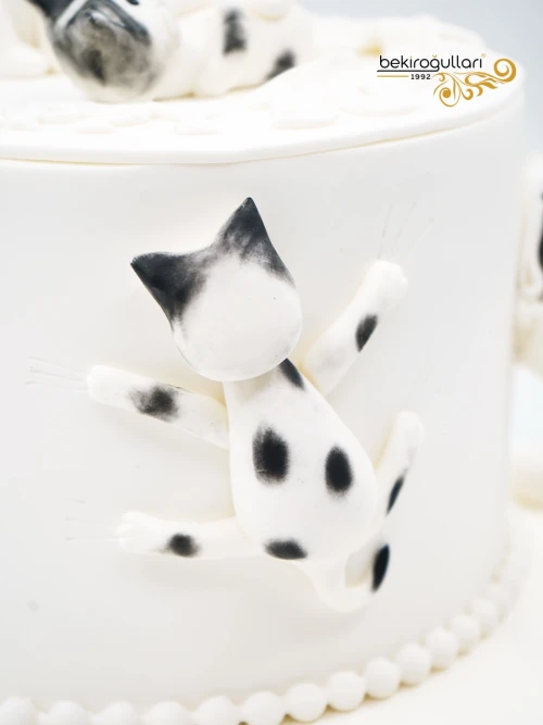 Kedi Detay Butik Pasta