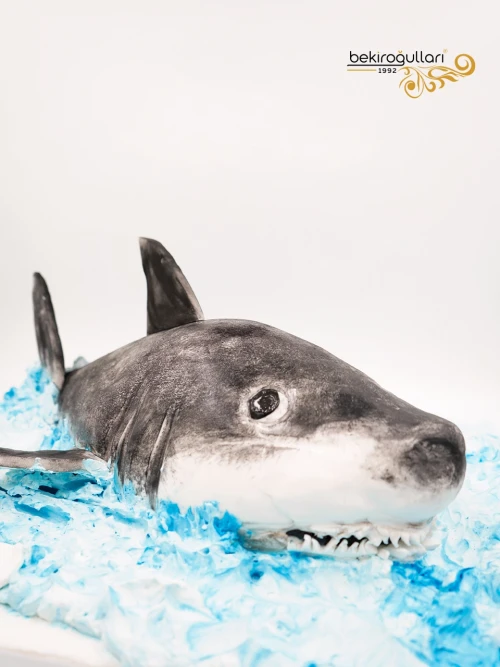 Köpek Balığı Tasarım Butik Pasta