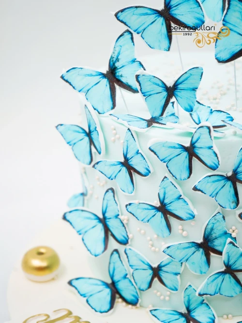 Mavi Kelebek Tasarım Butik Pasta