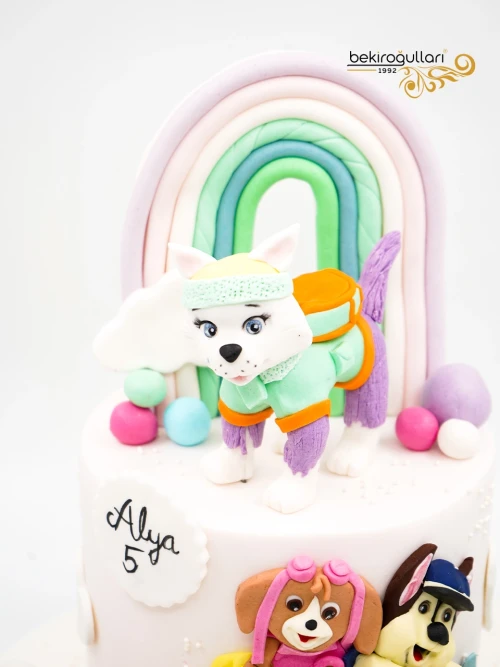 Paw Petrol Konsept Butik Pasta