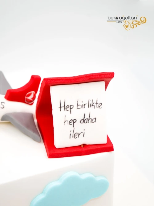 Uçak Detay Butik Pasta