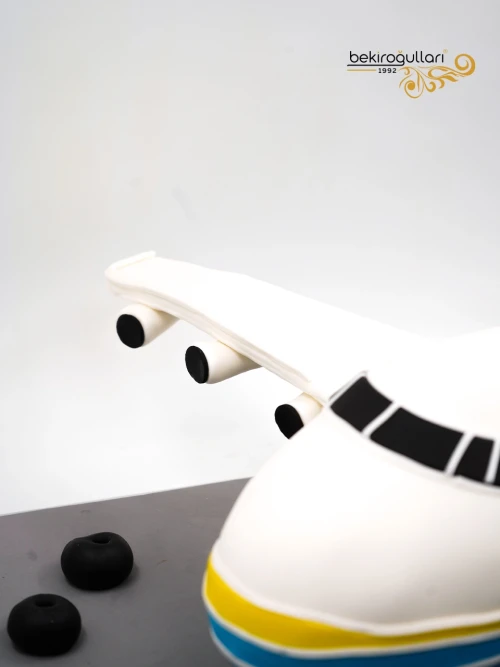 Uçak Model Butik Pasta