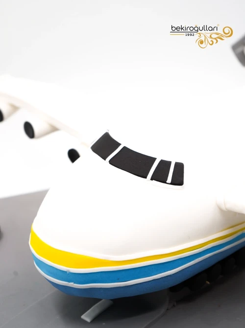Uçak Model Butik Pasta