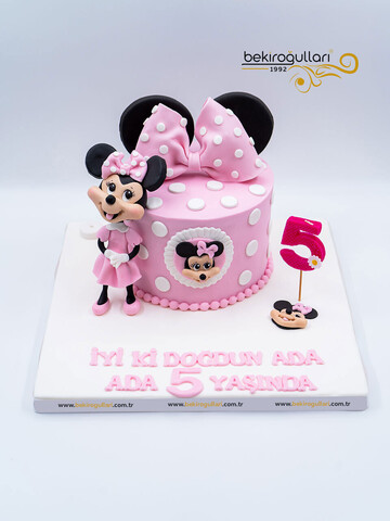 Çizgi Film Karakteri Pembe Kurdeleli Konsept Pasta