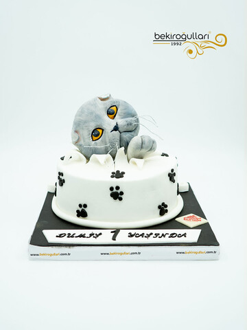 Kedi Detaylı Konsept Pasta