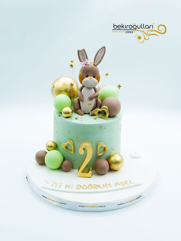 Tavşan ve Toplar Konsept Pasta