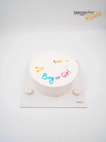 Cinsiyet Partisi Konsept Naked Pasta