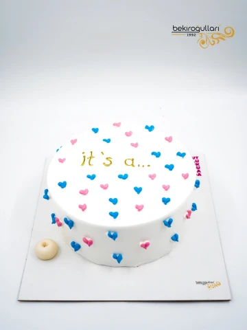 Cinsiyet Partisi Konsept Naked Pasta