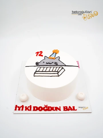 Kedi Çizim Naked Mehmet