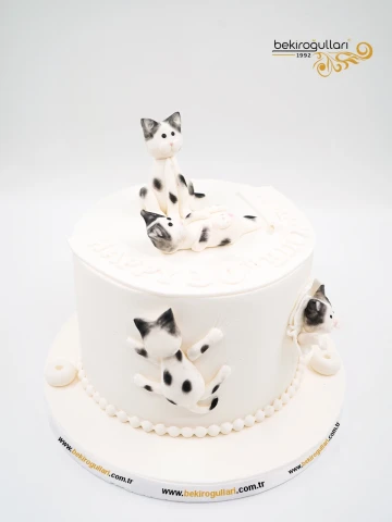 Kedi Detay Butik Pasta